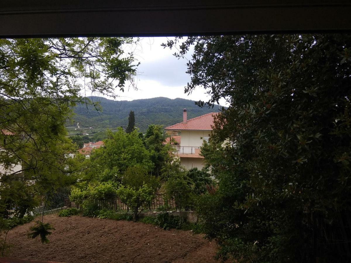 Villa Angela House Agios Andreas  Esterno foto
